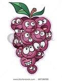 grapes 1