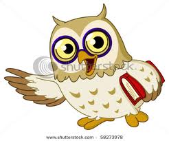 owl