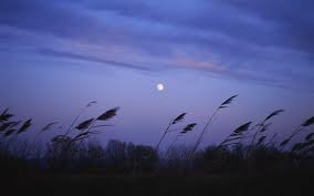 breeze